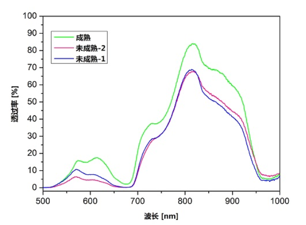 光纖光譜儀在水果成熟度分選的應(yīng)用