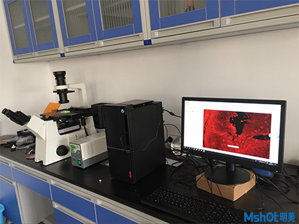 倒置熒光顯微鏡助力中國物理研究所材料檢測(cè)