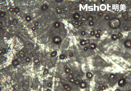 倒置金相顯微鏡用于觀察金屬微球