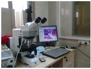 實拍設(shè)備圖片（MD50+蔡司顯微鏡+病理報告系統(tǒng)）
