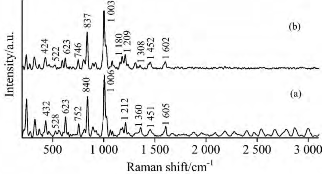 拉曼光譜的應(yīng)用